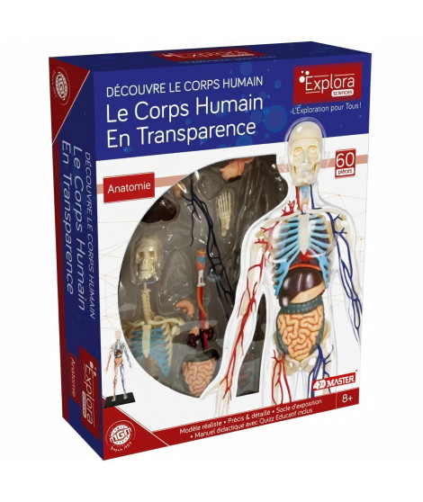 MGM - Explora - Anatomie squelette corps humain transparent - Expérience anatomie