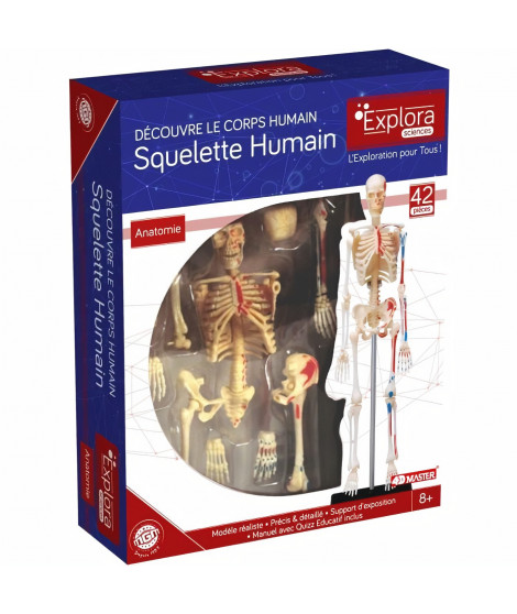MGM - Explora - Anatomie squelette - Expérience anatomie