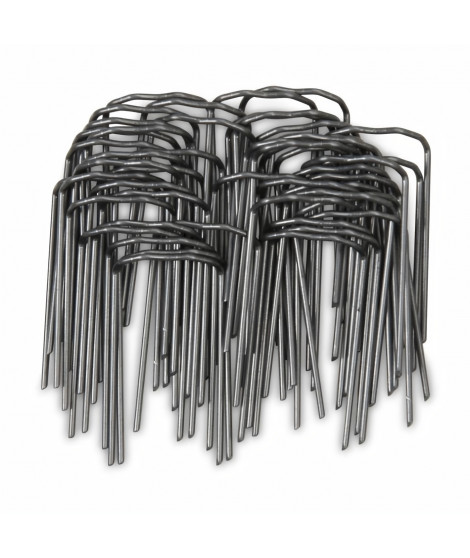 Agrafes - Pour tuteurs - x 50