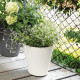 DEROMA Pot de fleurs a reserve d'eau Save R Bianco - 16 cm