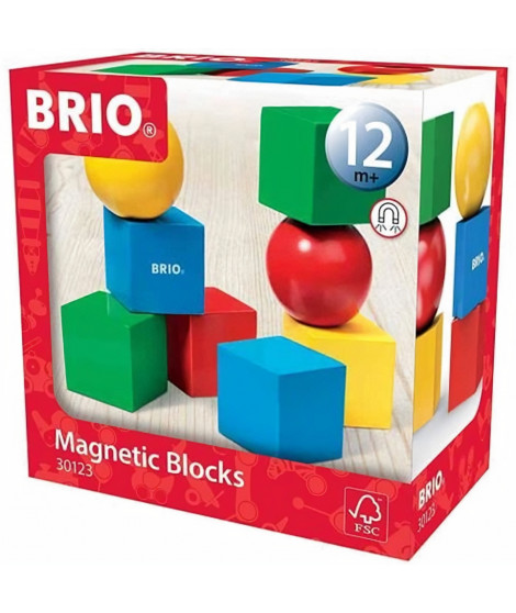 BRIO - 30123 - Blocs De Construction Magnetiques - Jouet en bois