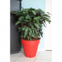 RIVIERA Pot de fleurs Loft avec réserve d'eau - Rond - Ø 60 x H 55 cm - Rouge