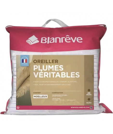 BLANREVE Lot de 2 oreillers Plumes - 60x60 cm