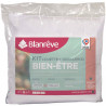 Kit couette + oreillers - Microfibre - BLANREVE