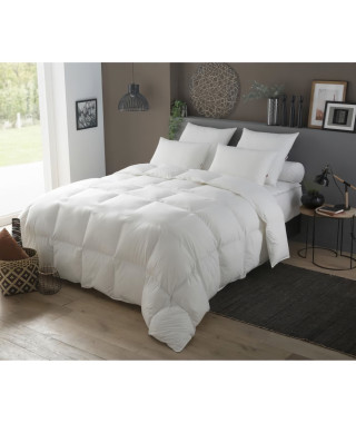 Couette Duvet - 200 x 200 cm - Tempérée - 70% Plumettes 30% Duvet Oie et Canard - 2 personnes - Blanc - DODO