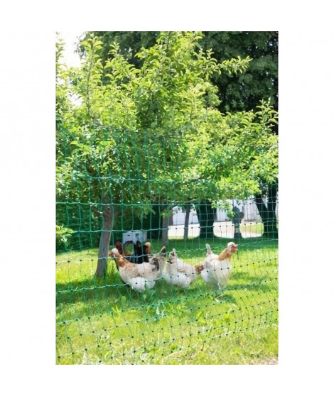 KERBL Filet pour les poules 50 m - 106 cm - double pointe - vert - non électrique