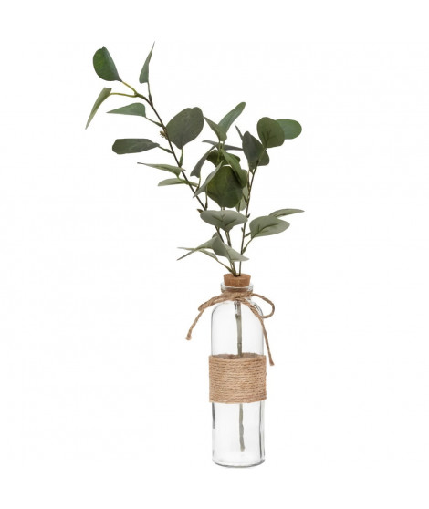 Vase + Eucalyptus + Corde - H45 cm