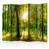 Paravent 5 volets - Forest Rays II [Room Dividers]