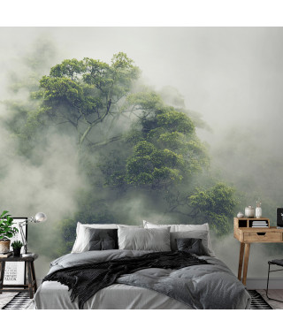 Papier peint adhésif - Foggy Amazon