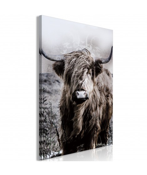 Tableau - Highland Cow in Sepia