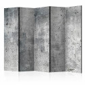 Paravent 5 volets - Fresh Concrete II [Room Dividers]