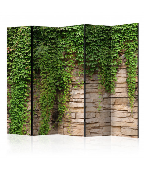 Paravent 5 volets - Ivy wall II [Room Dividers]