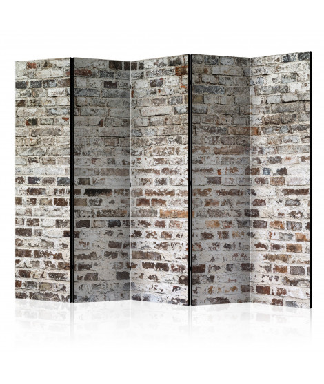 Paravent 5 volets - Old Walls II [Room Dividers]