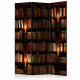 Paravent 3 volets - Bookshelves [Room Dividers]