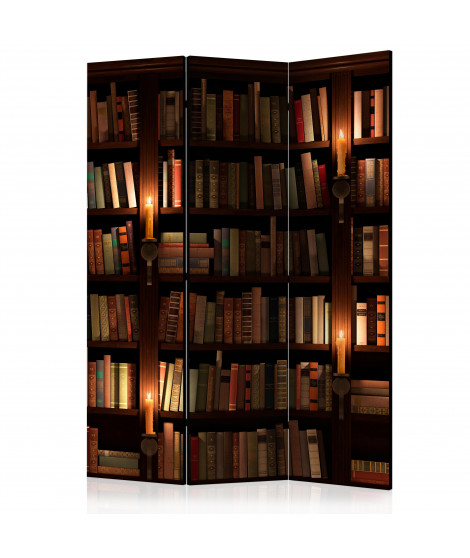 Paravent 3 volets - Bookshelves [Room Dividers]