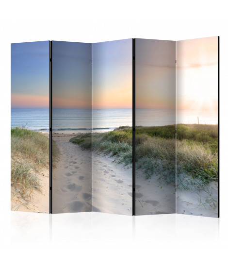 Paravent 5 volets - Morning walk on the beach II [Room Dividers]