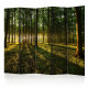 Paravent 5 volets - Morning in the Forest II [Room Dividers]