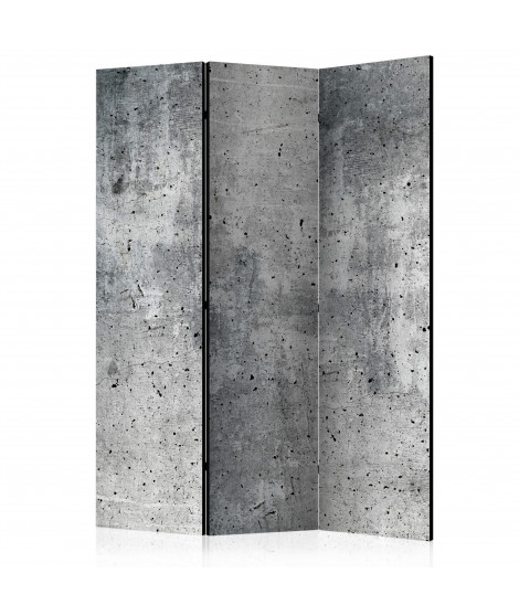 Paravent 3 volets - Fresh Concrete [Room Dividers]