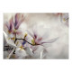 Papier peint adhésif - Subtle Magnolias - First Variant