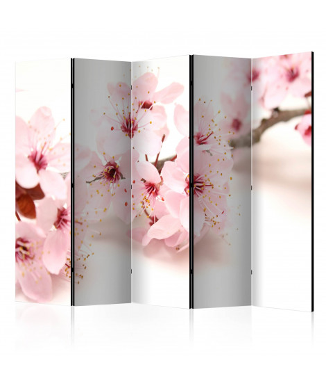 Paravent 5 volets -  Cherry Blossom II [Room Dividers]