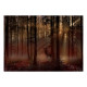 Papier peint adhésif - Mystical Forest - First Variant