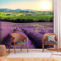 Papier peint - Lavender Field