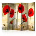 Paravent 5 volets - Golden Field of Poppies II [Room Dividers]