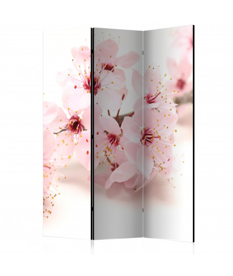 Paravent 3 volets - Cherry Blossom [Room Dividers]