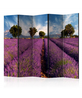 Paravent 5 volets - Lavender field in Provence, France II [Room Dividers]