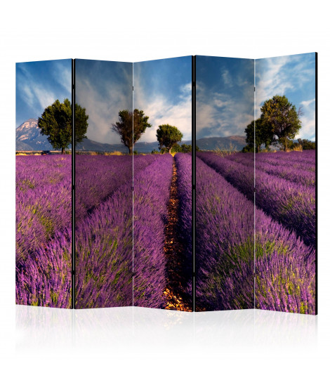 Paravent 5 volets - Lavender field in Provence