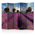 Paravent 5 volets - Lavender field in Provence, France II [Room Dividers]