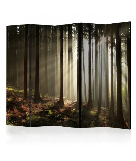 Paravent 5 volets - Coniferous forest II [Room Dividers]