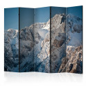 Paravent 5 volets - Winter in the Alps II [Room Dividers]