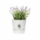 ELHO Pot de fleurs rond Greenville 25 - Extérieur - Ø 24,48 x H 23,31 cm - Blanc