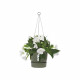 ELHO Pot de fleurs a suspendre Greenville 24 - Extérieur - Ø 23,9 x H 20,3 cm - Vert feuille