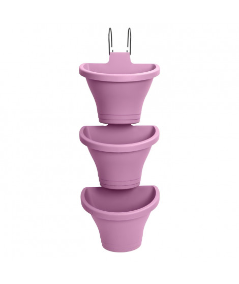 Corsica Foret Vertical 24 Set/3 violet vif