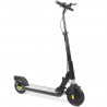 Trottinette Electrique SURPASS Pro 2 Black Edition avec frein a disque 350 W 8'' - Pliable - Adulte