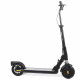 Trottinette Electrique SURPASS Pro 2 Black Edition avec frein a disque 350 W 8'' - Pliable - Adulte