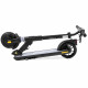 Trottinette Electrique SURPASS Pro 2 Black Edition avec frein a disque 350 W 8'' - Pliable - Adulte