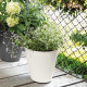 DEROMA Pot de fleurs a reserve d'eau Save R Bianco - 20 cm