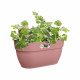 ELHO - Pot de fleurs -  Vibia Campana Easy Hanger Medium - Rose Poussiere - Balcon extérieur - L 24.1 x W 36 x H 26.5 cm