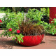 RIVIERA - Coupe pot de fleurs - granit D40 - rouge