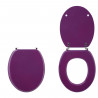 WIRQUIN - Abattant colors line prune