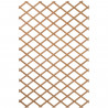 NATURE Treillis extensible en bois naturel 100x300cm - Marron