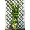 NATURE Treillis extensible en bois coloré vert - 50 x 150 cm