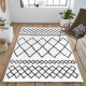 NAZAR Tapis de salon Shaggy ASM200BLA150220 - 150 x 220 cm - Blanc