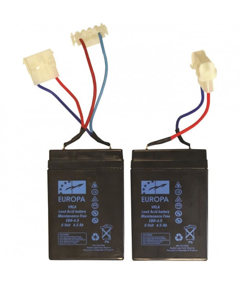 ANATEC Lot de 2 Batteries Pac Boat au plomb - 6V/4,5A