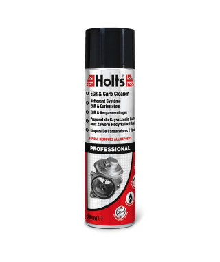 HOLTS Nettoyant systeme EGR et carburateur - Diesel / Essence