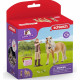 SCHLEICH - Palefreniere avec jument islandaise - 41431 - Gamme Horse Club