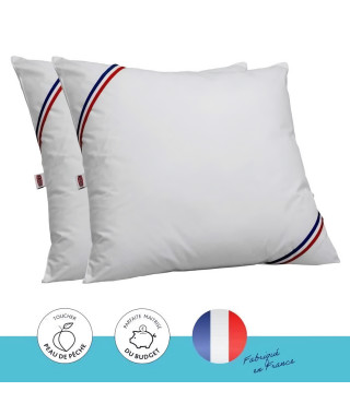 DODO Lot de 2 oreillers Tendance - 60 x 60 cm - Garnissage 100% Polyester fibre creuse siliconée - Blanc